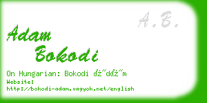 adam bokodi business card